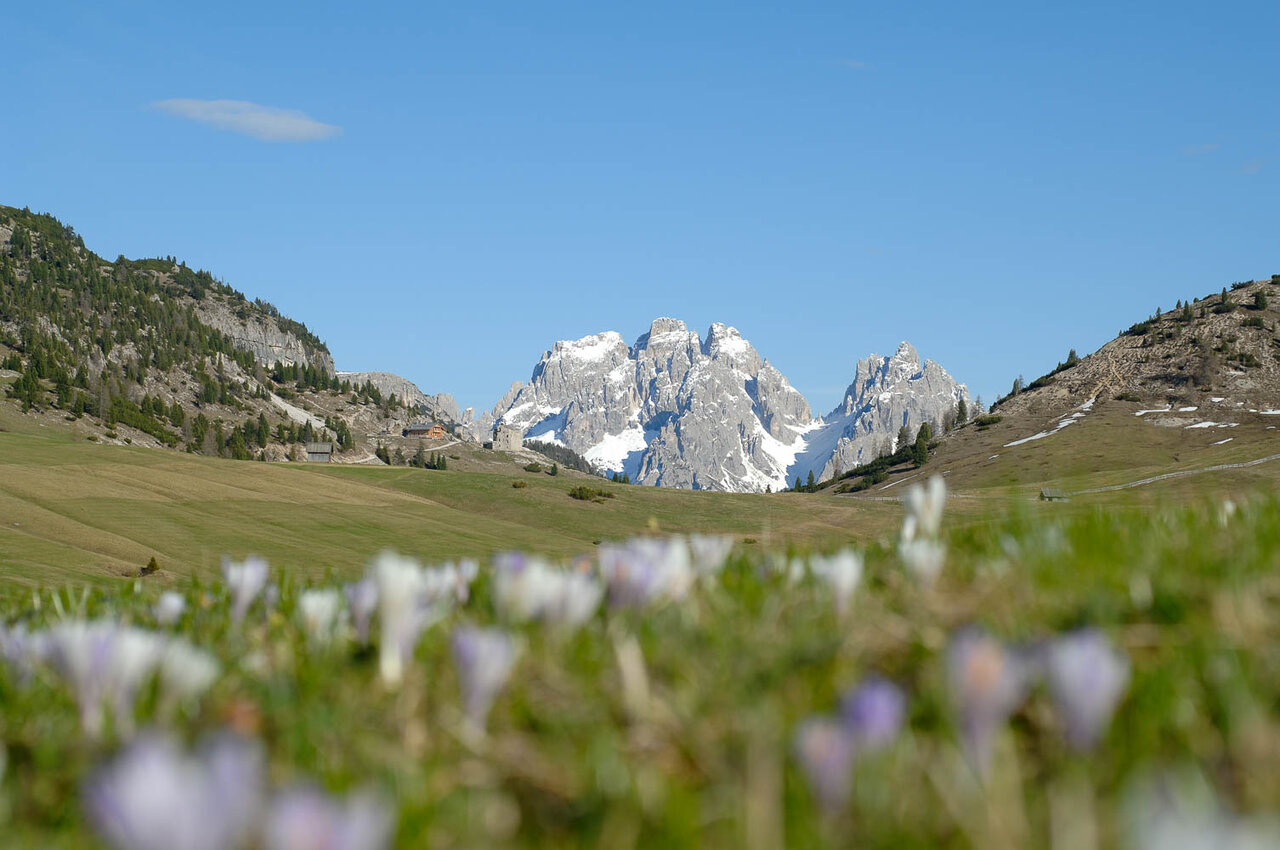 Plätzwiese Dolomiten Prags